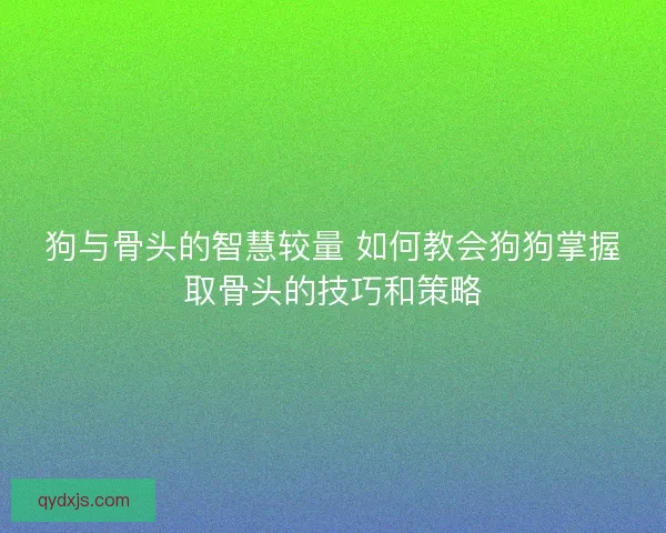 狗与骨头的智慧较量 如何教会狗狗掌握取骨头的技巧和策略 狗与骨头的智慧较量 如何教会狗狗掌握取骨头的技巧和策略